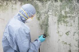 Best Forensic Mold Investigation  in USA